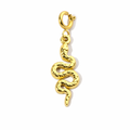 Schlange Charm