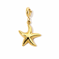 Seestern Charm