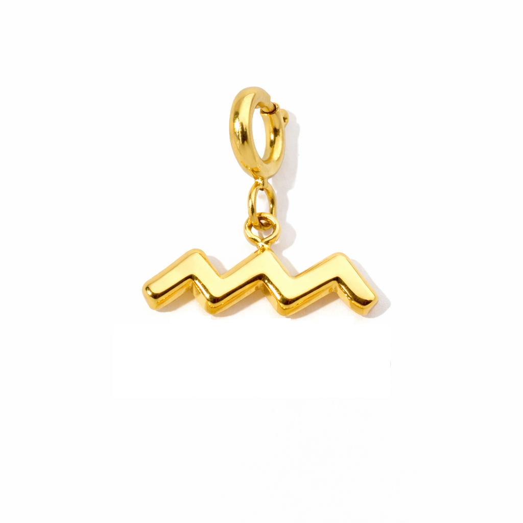 Charmily Zodiac Charm