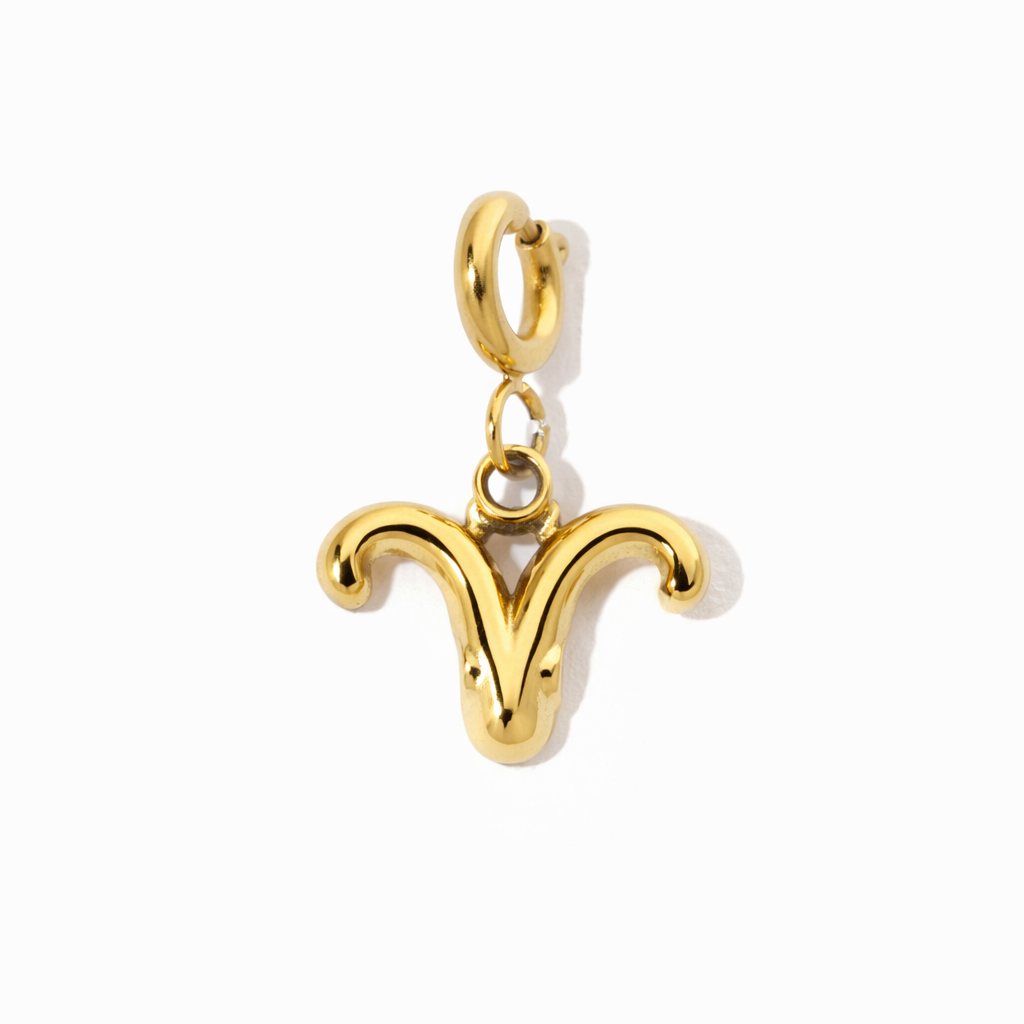 Charmily Zodiac Charm