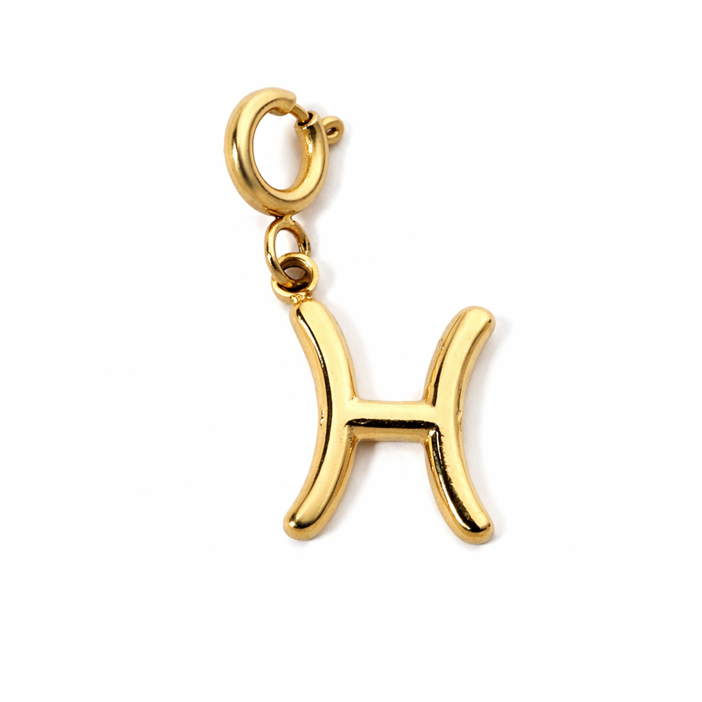 Charmily Zodiac Charm